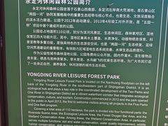 -永定河休闲森林公园