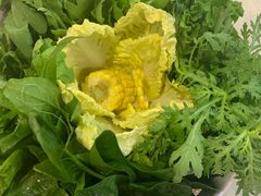 -四季大盘涮肉园(天竺店)