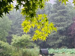 -洛阳市隋唐城遗址植物园