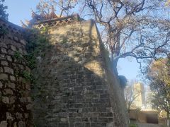 -昆明动物园