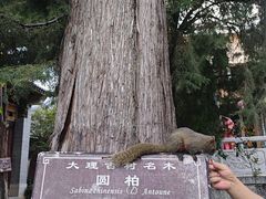 -大理文庙(大理古城)