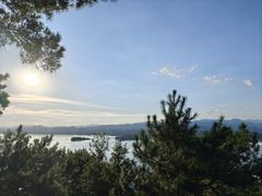 -浔味·山屿湖·正宗淳牌全鱼宴老字号