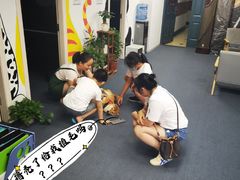 -爱乐蒙艺术·古筝 钢琴 声乐(科华校区)