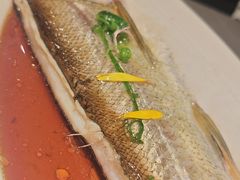 -醉庐·新上海菜(南京西路店)