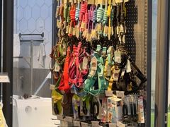-萌兽医馆·眼科·异宠专科(三里屯店)
