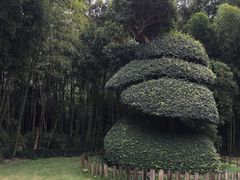 -苏州河梦清园环保主题公园