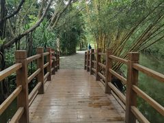 -大湾区中央湿地公园