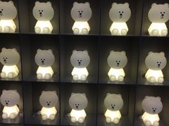 -line friends(明洞旗舰店)