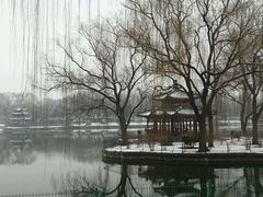 android_upload_pic-青岛华客度假酒店(极地海洋世界店)