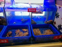 -小龍鳳·港式海鲜打边炉(沙湖路店)