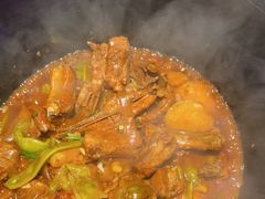 -挂雪铁锅炖大鹅