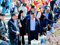 -多彩贵州城极地海洋世界