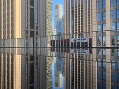 -百好乐宠物友好餐厅(朝外大街店)