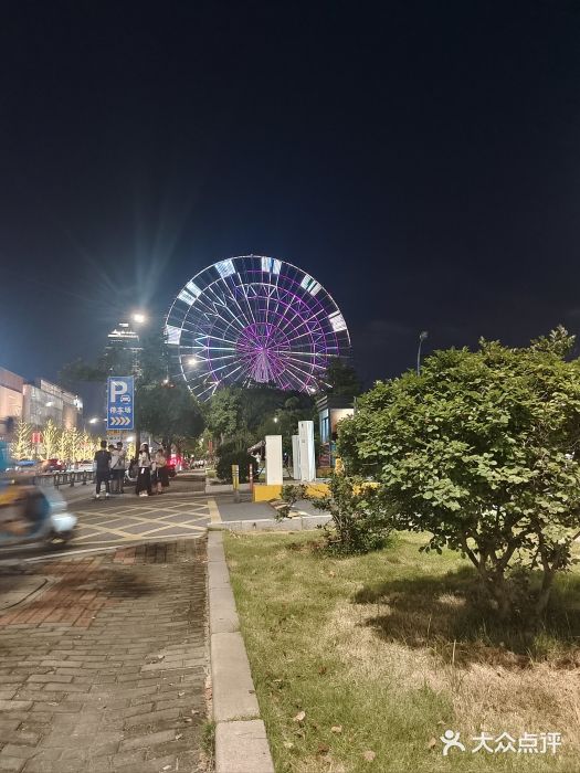 南昌之星摩天轮图片