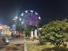 -南昌之星摩天轮