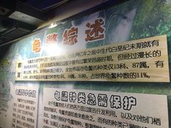 -上海大自然野生昆虫馆(东方明珠·爬宠昆虫探索中心)