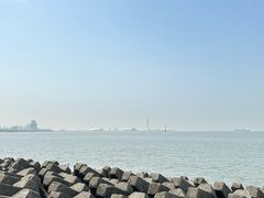 -上海滨江森林公园