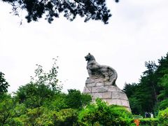 -帽儿山国家森林公园