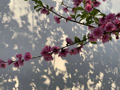 -乌山风景区