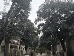 -龙潭水乡