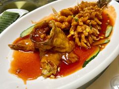 松鼠桂鱼。-鹿鸣春饭店(总店)