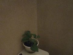 -水云空涧·沐足·采耳·按摩·SPA影院(琶洲店)