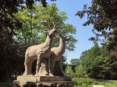 -北京麋鹿生态实验中心