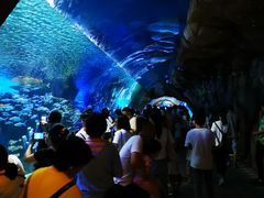 -华夏文旅海洋公园