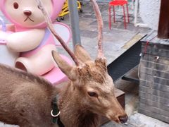-沪上阿姨鲜果茶(世茂广场宽厚里店)