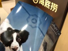 -海底捞火锅(凯德广场店)