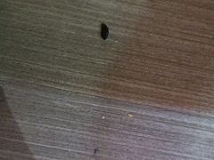 -九宫阁(南龙蟠街融创茂店)