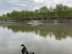 -河北村民俗体验园