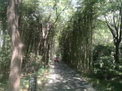 -唐城墙遗址公园