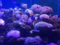 -西安曲江海洋极地公园