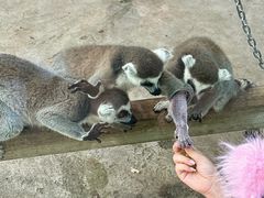 -水上乐园·欢乐世界