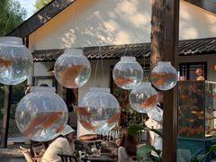 -袁大头包子(光华路店)