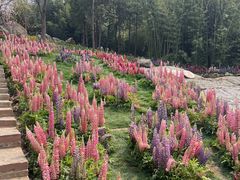 -沂蒙云瀑洞天景区