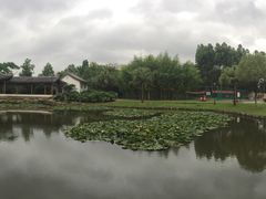-河泥荡文化公园