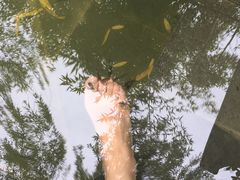 -西安国际创新人才交流中心•药浴温泉