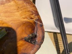 -豆蔻电影主题餐厅(四牌楼店)