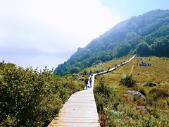 -白草畔自然风景区