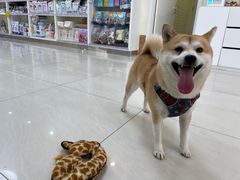 -美联众合动物医院·24h京西诊疗中心
