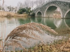 -瑶湖郊野森林公园