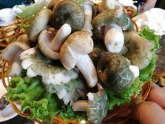 -菌海森林·非遗野生菌火锅(西山区滇池路摩根道店)