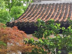-上海醉白池公园