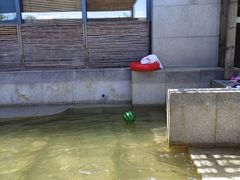 -春晖园度假酒店温泉