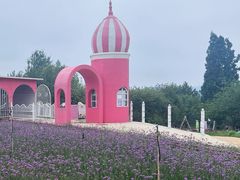 -名花谷生态庄园