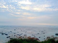 -枸杞岛