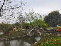 -鹅湖玫瑰文化园