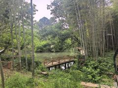 -宝岩生态观光园